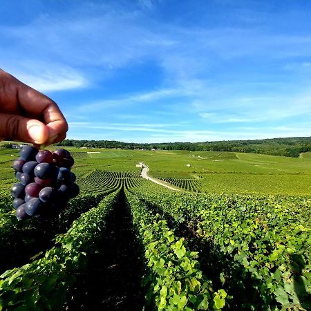 Epernay Capital De Champagne Lägenhet Exteriör bild