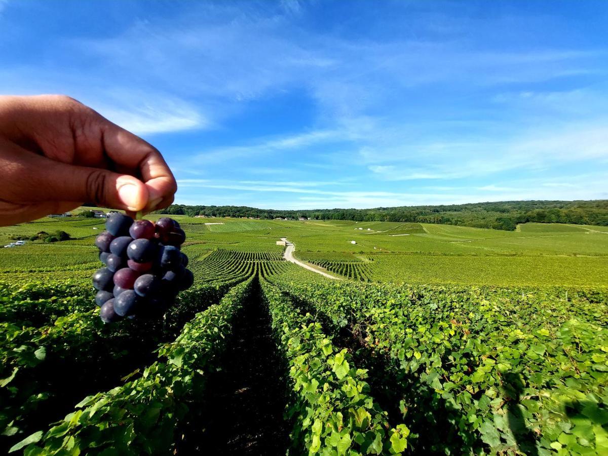 Epernay Capital De Champagne Lägenhet Exteriör bild