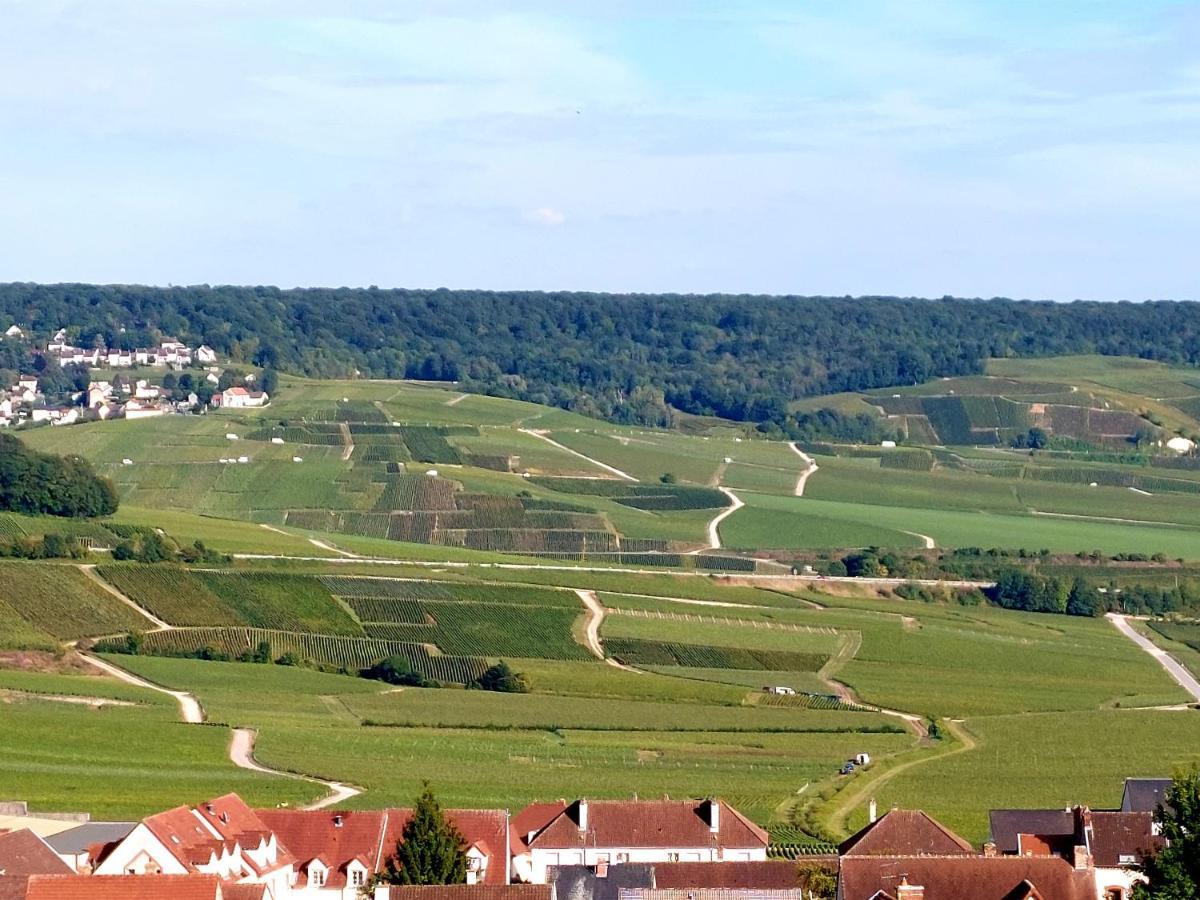 Epernay Capital De Champagne Lägenhet Exteriör bild